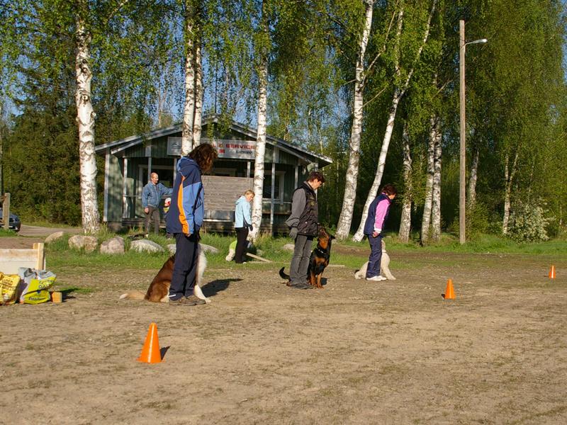 lajiesittely 19.jpg